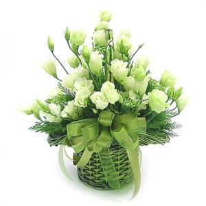 �󼼳��뺸��