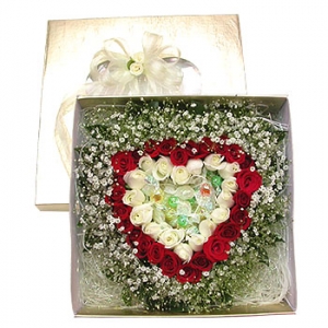 �󼼳��뺸��