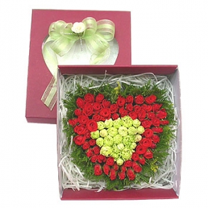 �󼼳��뺸��