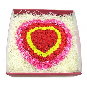 �󼼳��뺸��