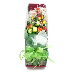 �󼼳��뺸��