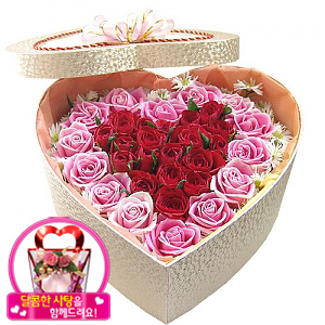 �󼼳��뺸��