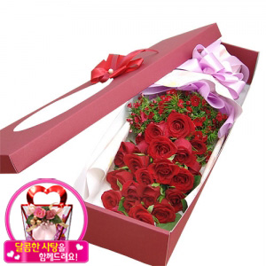 »ó¼¼³»¿ëº¸±â