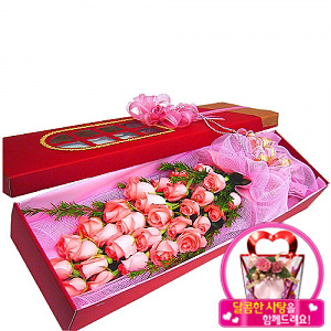 �󼼳��뺸��