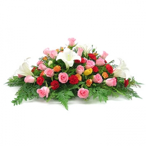 »ó¼¼³»¿ëº¸±â