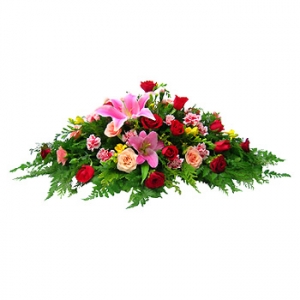 »ó¼¼³»¿ëº¸±â