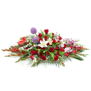 »ó¼¼³»¿ëº¸±â