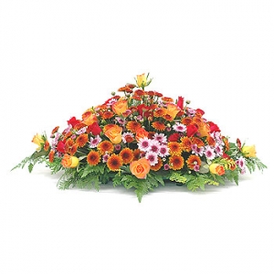 »ó¼¼³»¿ëº¸±â