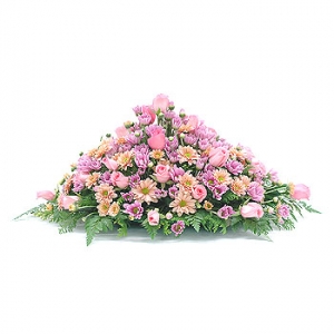 »ó¼¼³»¿ëº¸±â