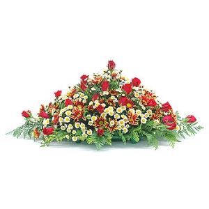 »ó¼¼³»¿ëº¸±â