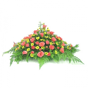 »ó¼¼³»¿ëº¸±â