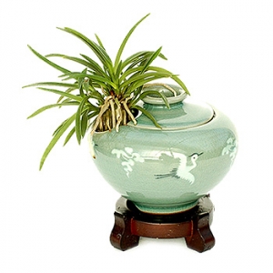 �󼼳��뺸��