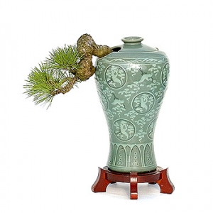 »ó¼¼³»¿ëº¸±â