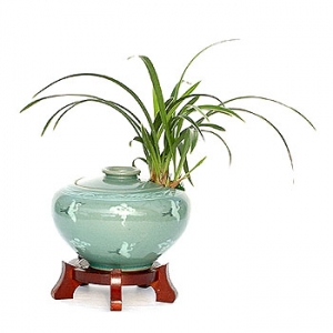 »ó¼¼³»¿ëº¸±â