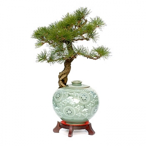 »ó¼¼³»¿ëº¸±â