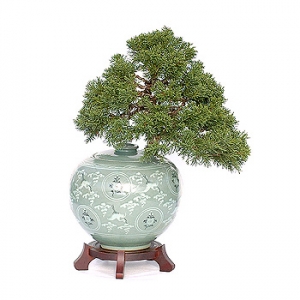 »ó¼¼³»¿ëº¸±â