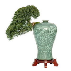 �󼼳��뺸��