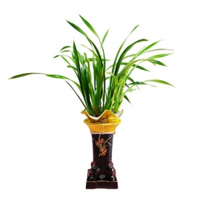 »ó¼¼³»¿ëº¸±â