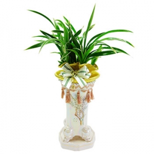 »ó¼¼³»¿ëº¸±â