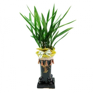 »ó¼¼³»¿ëº¸±â