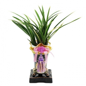 »ó¼¼³»¿ëº¸±â