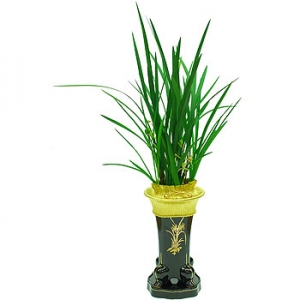 »ó¼¼³»¿ëº¸±â