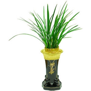 »ó¼¼³»¿ëº¸±â