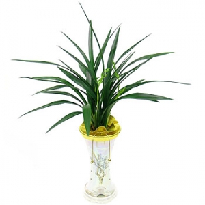 »ó¼¼³»¿ëº¸±â