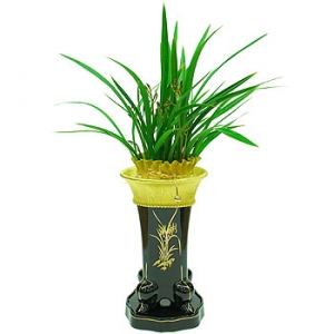 »ó¼¼³»¿ëº¸±â