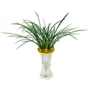 »ó¼¼³»¿ëº¸±â