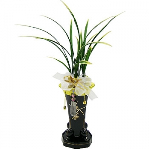 »ó¼¼³»¿ëº¸±â