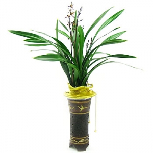 »ó¼¼³»¿ëº¸±â