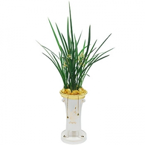 »ó¼¼³»¿ëº¸±â