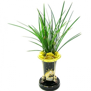 »ó¼¼³»¿ëº¸±â