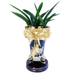 »ó¼¼³»¿ëº¸±â