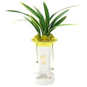 »ó¼¼³»¿ëº¸±â