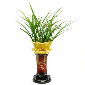 �󼼳��뺸��