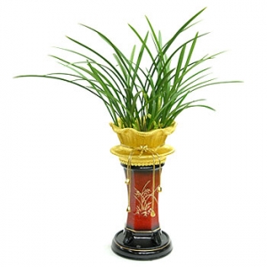 �󼼳��뺸��