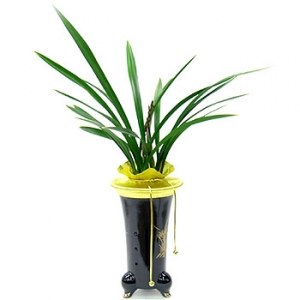 �󼼳��뺸��