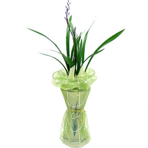 »ó¼¼³»¿ëº¸±â