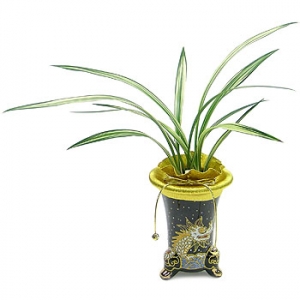 »ó¼¼³»¿ëº¸±â