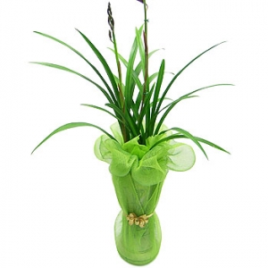 »ó¼¼³»¿ëº¸±â