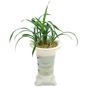 »ó¼¼³»¿ëº¸±â