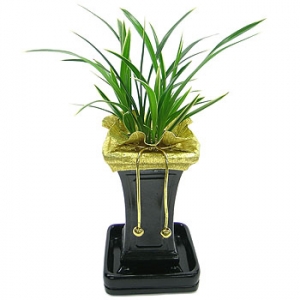 »ó¼¼³»¿ëº¸±â