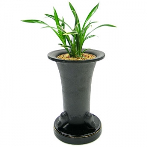 »ó¼¼³»¿ëº¸±â