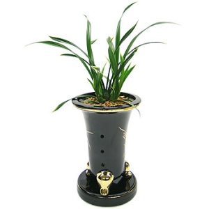 »ó¼¼³»¿ëº¸±â