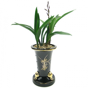 »ó¼¼³»¿ëº¸±â