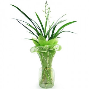 »ó¼¼³»¿ëº¸±â