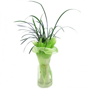 »ó¼¼³»¿ëº¸±â