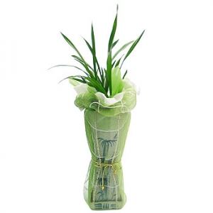 »ó¼¼³»¿ëº¸±â